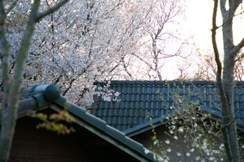 oyado ichizen