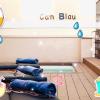 can blau homes
