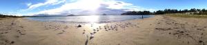 Corrigans Cove,Batemans Bay>>Batehaven,5 star