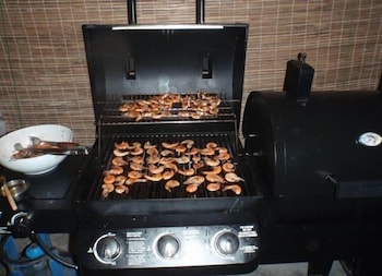 wella simbina rella kalpitiya