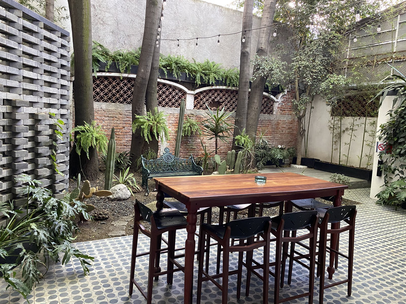 pug seal polanco allan poe