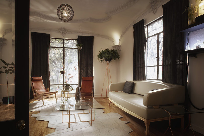 pug seal polanco allan poe