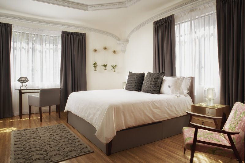 pug seal polanco allan poe