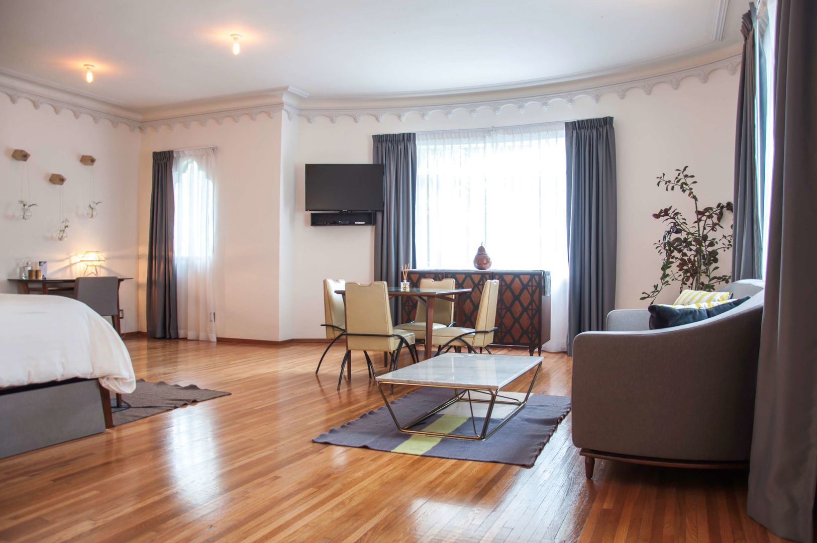 pug seal polanco allan poe