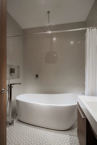 pug seal polanco allan poe