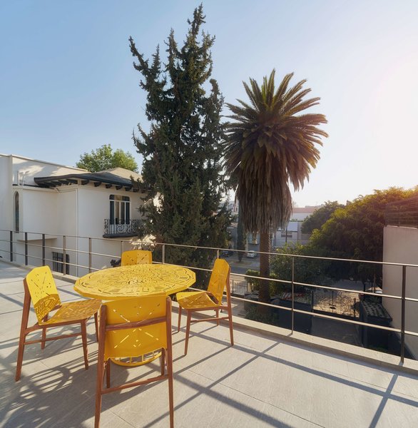 pug seal polanco allan poe