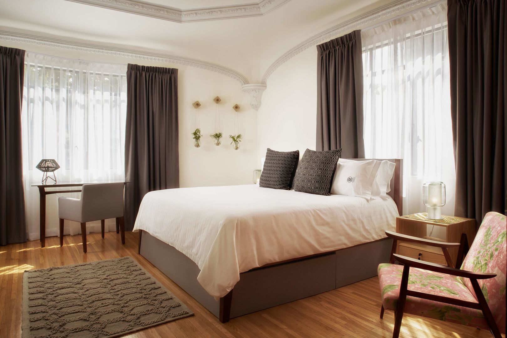 pug seal polanco allan poe