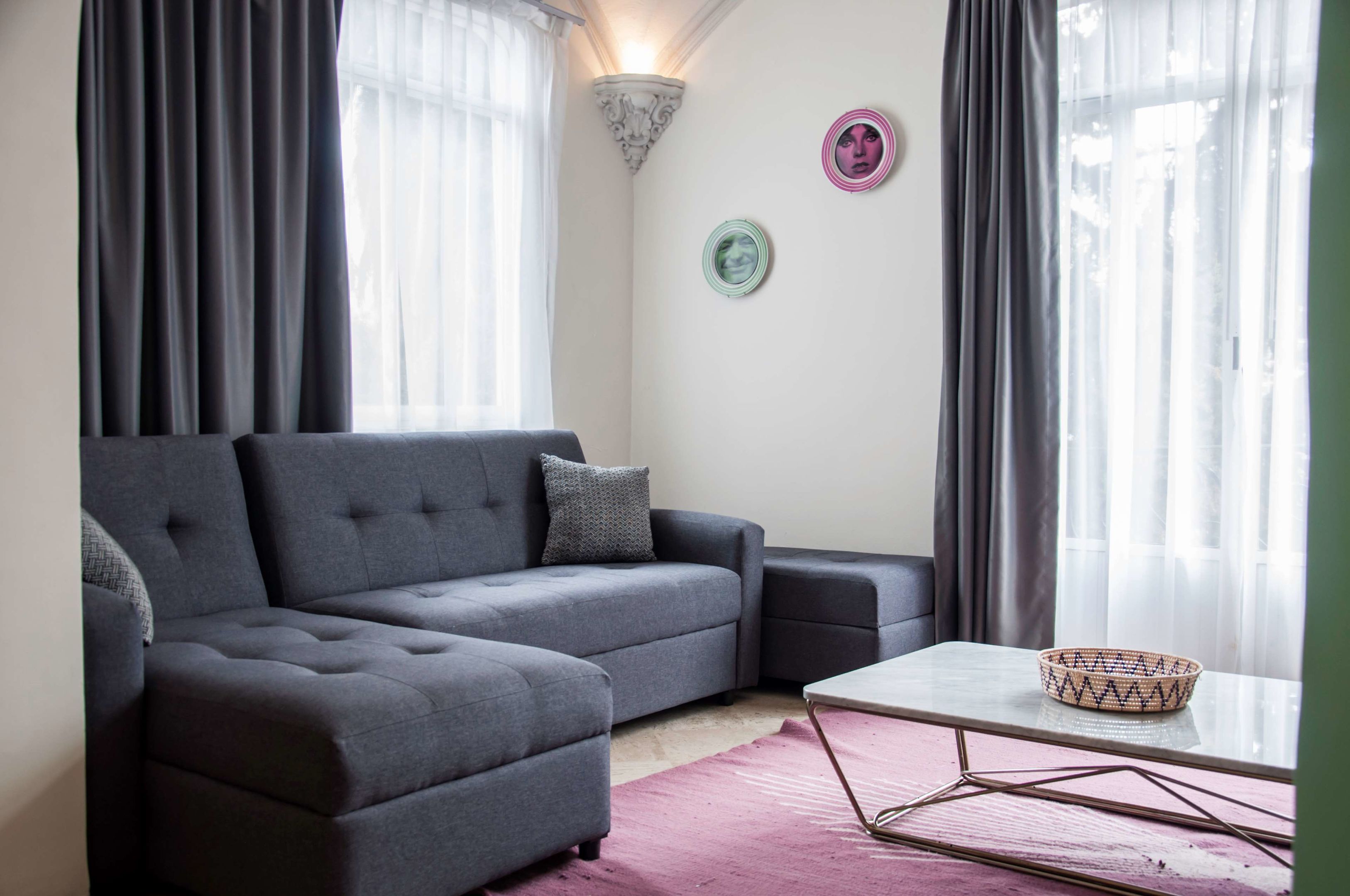 pug seal polanco allan poe