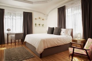 pug seal polanco allan poe