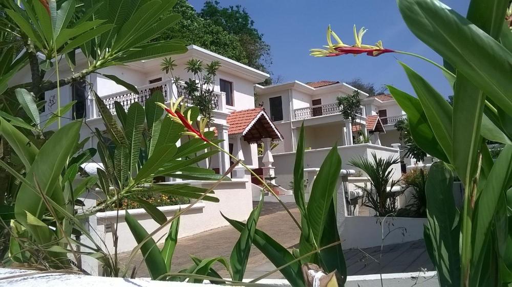 goa