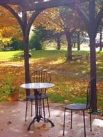 settlement courtyard inn and lavender spa