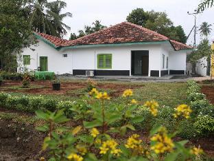 Green Banana Mirissa,Mirissa>>Galle,3 star