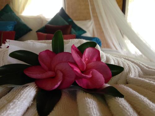 le mont resort