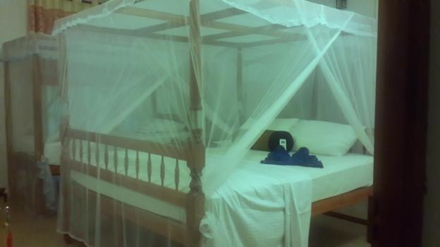 mirissa beach inn
