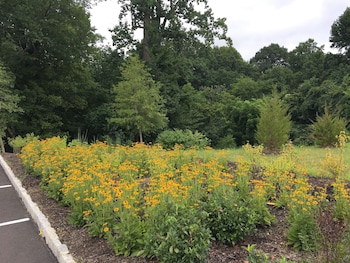 holiday inn express bordentown trenton south by ihg