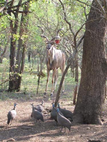 serenity du bois lodge