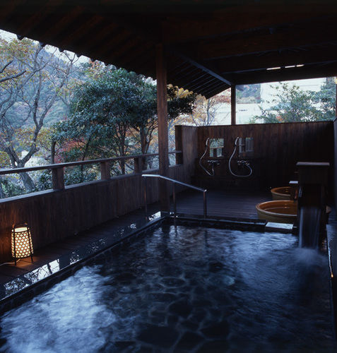 irodori koyo