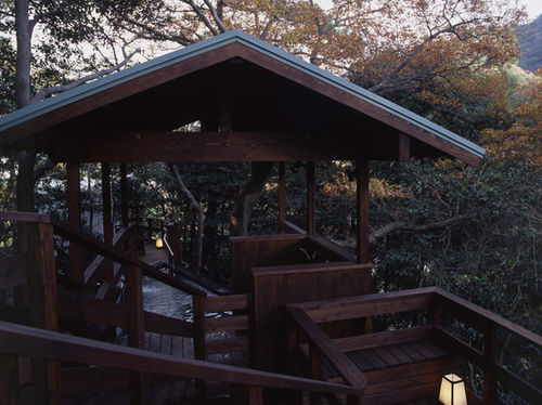 irodori koyo