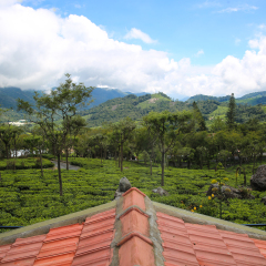 kotagiri