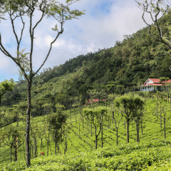 kotagiri