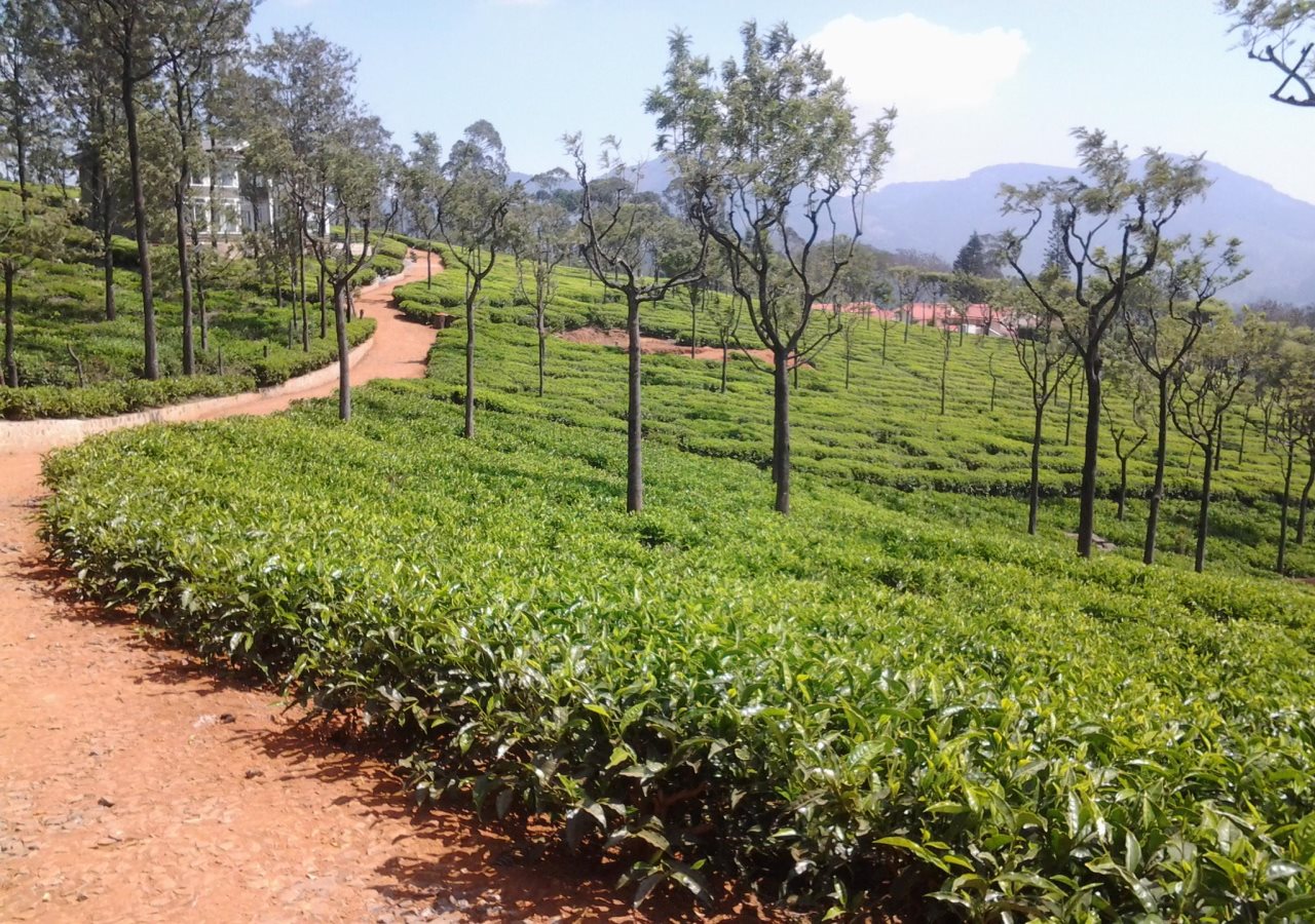 kotagiri