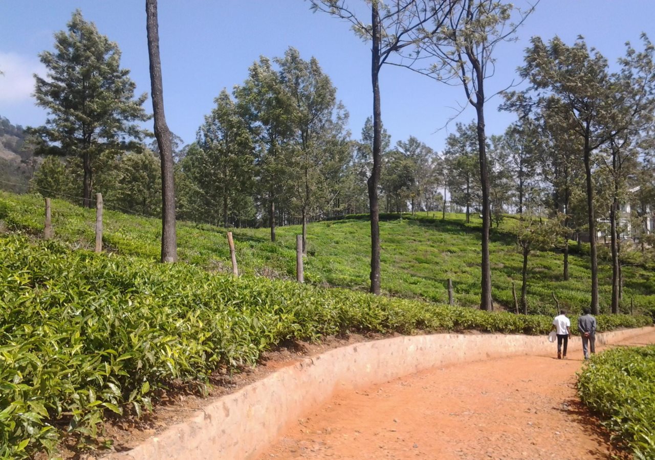 kotagiri