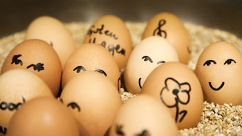 henriette stadthotel vienna