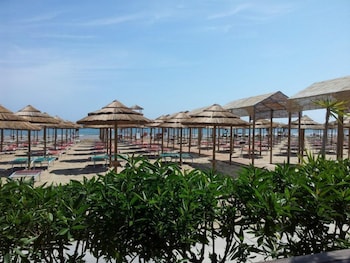 vieste
