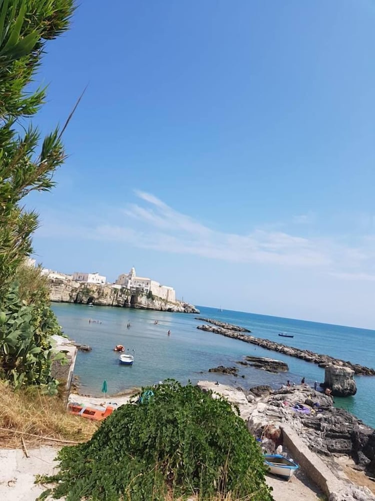 vieste