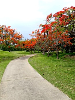 the royal chiangmai golf resort