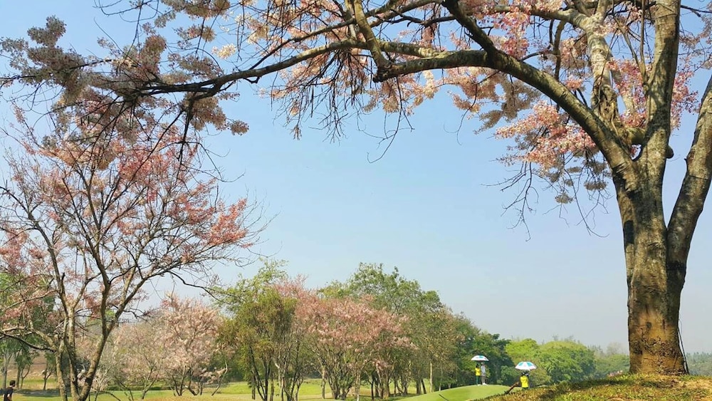 the royal chiangmai golf resort