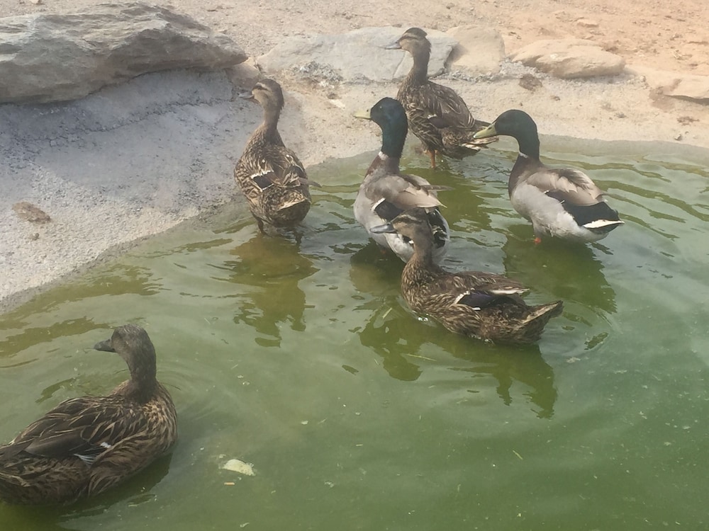 reul alto cortijos rurales