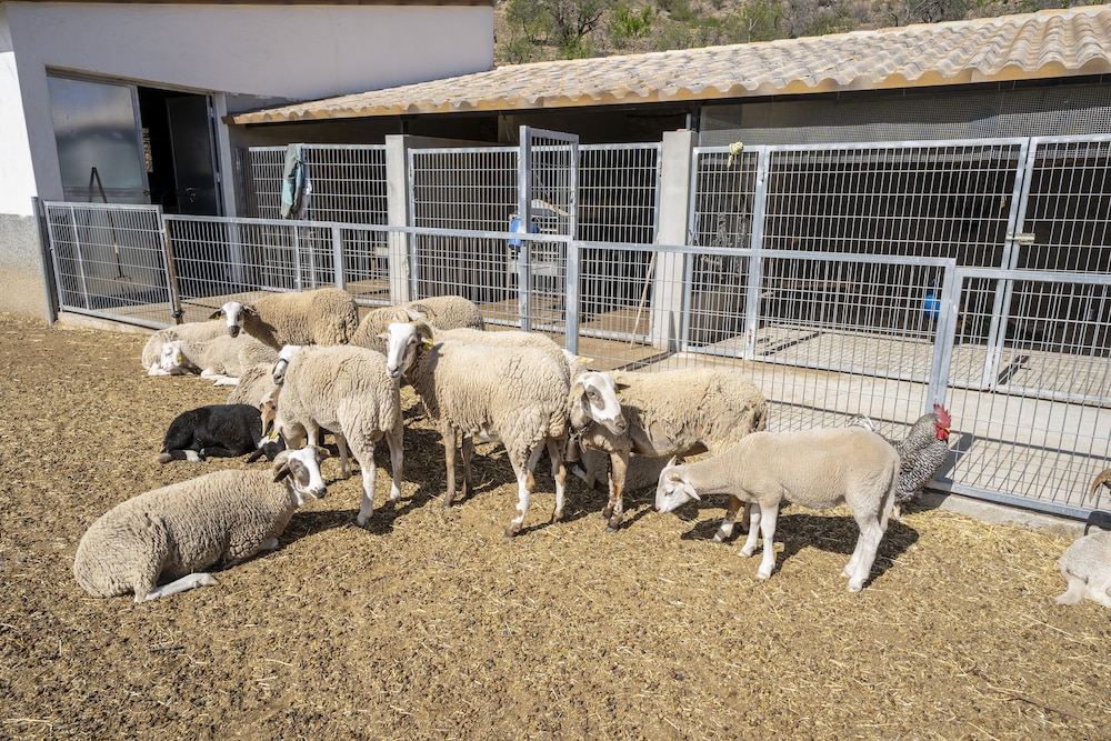 reul alto cortijos rurales