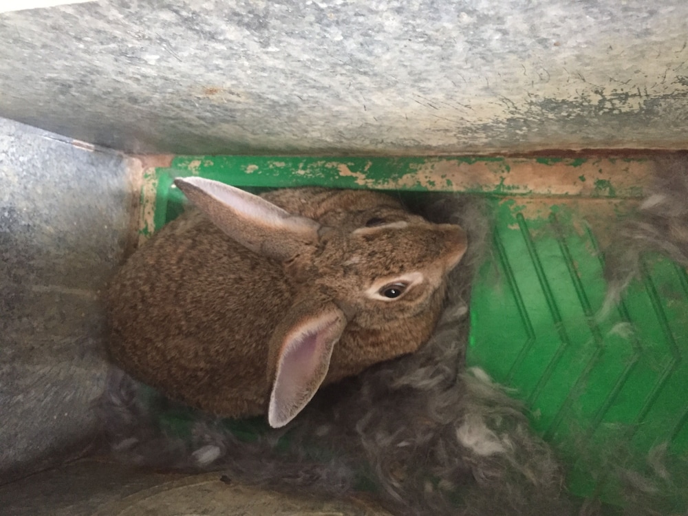 reul alto cortijos rurales