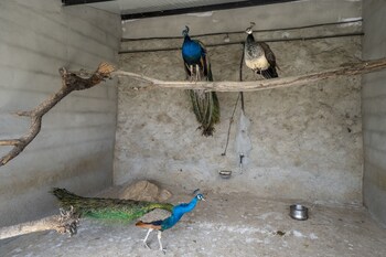 reul alto cortijos rurales