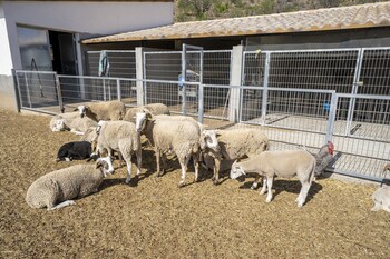 reul alto cortijos rurales