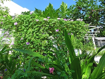 da nang