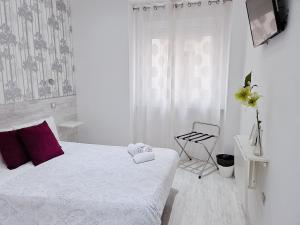 hostal met madrid