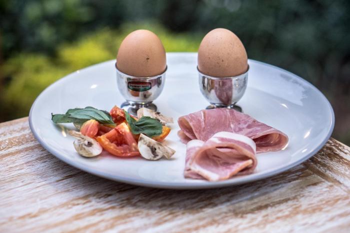 ubud tropical garden