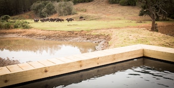 botlierskop bush villas