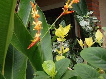 tirta sari bungalows and spa