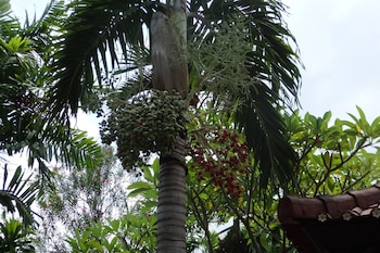 tirta sari bungalows and spa