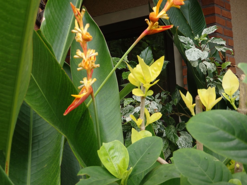 tirta sari bungalows and spa