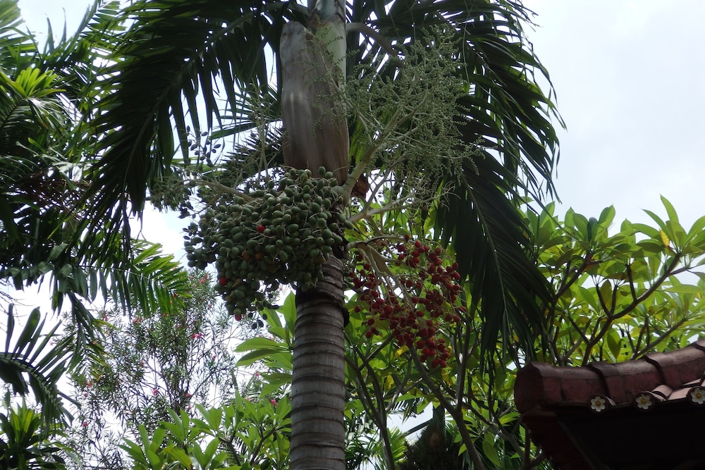 tirta sari bungalows and spa