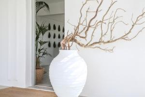 thalassa naxos