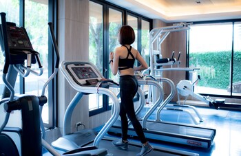 the silver palm wellness resort