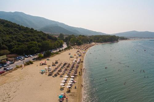 volvi