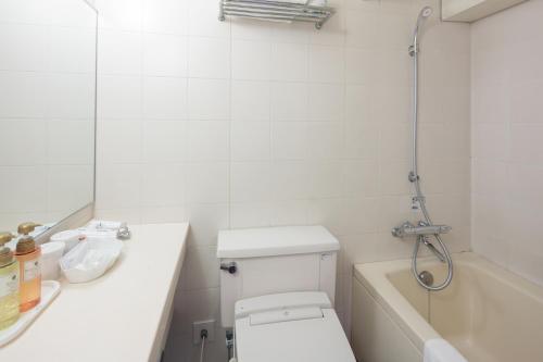 hotel mystays iidabashi