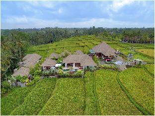 anusara luxury villas adults only