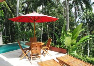 anusara luxury villas adults only